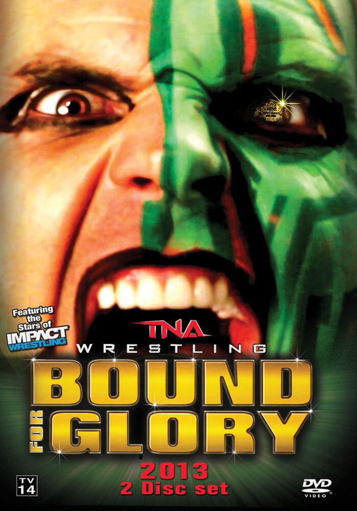 TNA Путь к славе (2013)