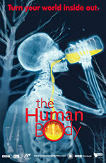 Человеческое тело (2001)