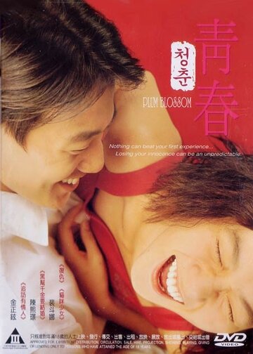 Сливовый цвет (2000)
