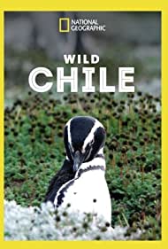 Wild Chile (2018)